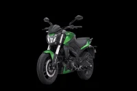 Bajaj DOMINAR 400 29