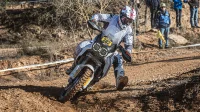 Ducati DesertX 0