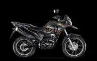 Moto Honda XRE 190 Verde Fosco 6