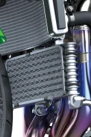 2022 NINJA ZX-10R KRT EDITION 25 70