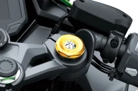 2024 NINJA ZX-4R SE 5