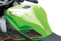 2024 NINJA ZX-4R SE 6