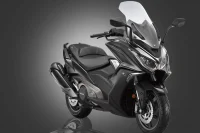 EXUBERANTE DESIGN PREMIUM 1