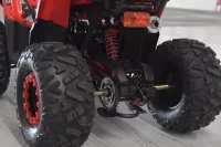 Outras imagens ATV 125 1 18