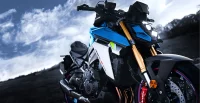 Suzuki Gsx S1000 SUSPENSAO 29