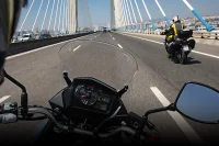 ALGUNS CAVALOS A MAIS 9