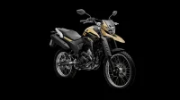 LANDER 250 ABS 2023 cor Bege 18