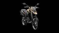 LANDER 250 ABS 2023 cor Bege 19