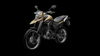 LANDER 250 ABS 2023 cor Bege 22