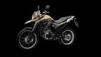 LANDER 250 ABS 2023 cor Bege 23