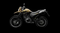 LANDER 250 ABS 2023 cor Bege 24