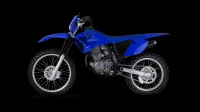 Fotos TT-R 230 9 42