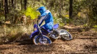 Imagem de divulgação WR450F 0