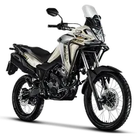 Honda Sahara 300 Bege Metálico: Trail aventureira, 25cv, 2,7kgfm, suspensão de longo curso, ABS