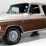 Tabela Fipe Ford F-1000 CD Blazer 3.9 Diesel 1994 preço