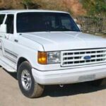 Tabela Fipe Ford F-1000 Tropical SL/VAN 4.9I 1998 preço
