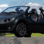 Tabela Fipe Buggy SKY 1.6 Flex 16v Mecânico 2025