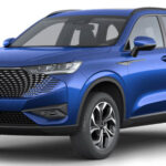 Tabela Fipe Haval H6 Premium PHEV AWD Hibrido 2023 Híbrido