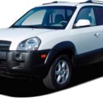 Fipe Tucson 2.0 CRDI 16v 112cv Diesel Automático 2005