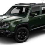 Fipe Renegade Willys 2.0 4×4 Turbo Diesel Automático 0 km