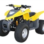 Tabela Fipe ADLY ATV 100 2000 preço