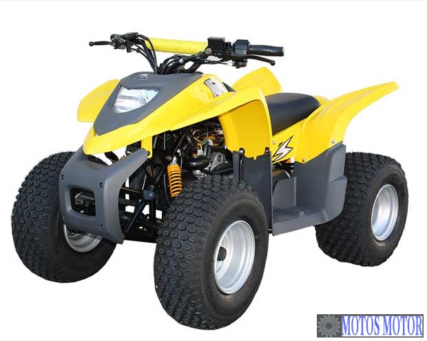 Foto de divulgação Tabela Fipe ADLY ATV 100 2000 preço Imagem de divulgação Tabela Fipe ADLY ATV 100 2000 preço