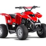 Tabela Fipe ADLY ATV 100 2001 preço