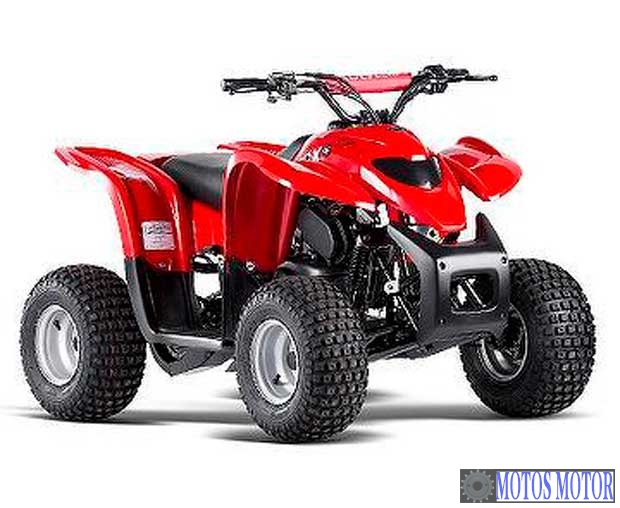 Foto de divulgação Tabela Fipe ADLY ATV 100 2001 preço Imagem de divulgação Tabela Fipe ADLY ATV 100 2001 preço