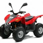 Tabela Fipe ADLY ATV 50 2000 preço