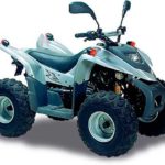 Tabela Fipe ADLY ATV 50 2001 preço