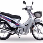 Tabela Fipe HAOBAO HB110-3 2009 preço