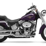 Tabela Fipe HARLEY-DAVIDSON FAT BOY FLSTF 2002 preço
