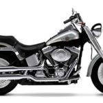 Tabela Fipe HARLEY-DAVIDSON FAT BOY FLSTF 2003 preço