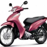 Tabela Fipe HONDA BIZ 110I 2016 preço