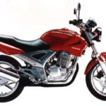 Tabela Fipe HONDA CBX 200 Strada 1997 preço