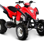 Tabela Fipe IROS Brave 450 Quadriciclo 2009 preço