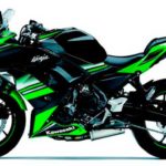 Tabela Fipe KAWASAKI Ninja 1000 2018 preço