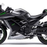 Tabela Fipe KAWASAKI Ninja 300 2016 preço
