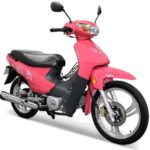 Tabela Fipe MVK MA/Foxx 100-3 2003 preço