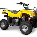 Tabela Fipe MVK Simba 50 Quadriciclo 0 km preço