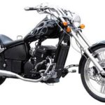 Tabela Fipe REGAL RAPTOR Spyder 320 2009 preço
