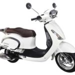 Tabela Fipe SHINERAY Retro EX 50 2018 preço