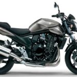 Tabela Fipe SUZUKI Bandit N-1250 2015 preço