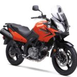 Tabela Fipe SUZUKI DL 650 V-Strom 2009 preço