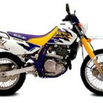 Tabela Fipe SUZUKI DR 650 RE 1995 preço