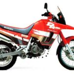 Tabela Fipe SUZUKI DR 800 S 1995 preço