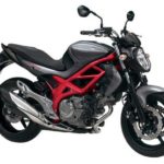 Tabela Fipe SUZUKI Gladius 650 2013 preço