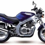 Tabela Fipe SUZUKI GS 500-E 2008 preço