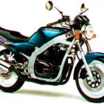 Tabela Fipe SUZUKI GS 500-E 1993 preço
