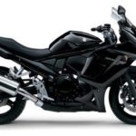 Tabela Fipe SUZUKI GSX 650F 2009 preço